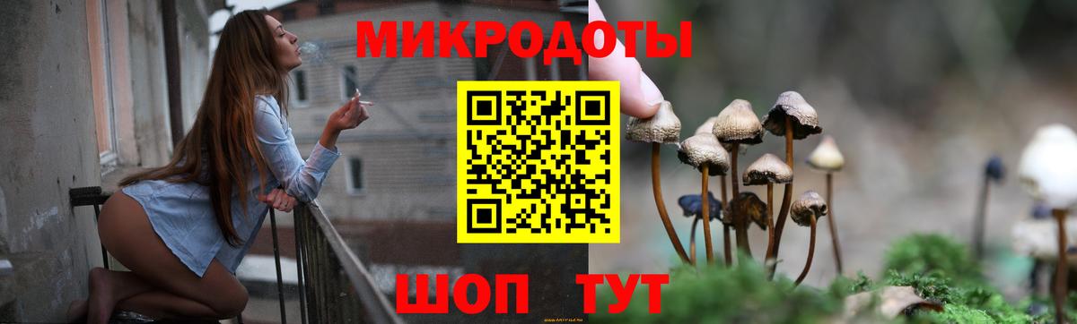 Псилоцибиновые грибы GOLDEN TEACHER  Вход с VPN  Галлюциногенные грибы прущие грибы  Ефремов 